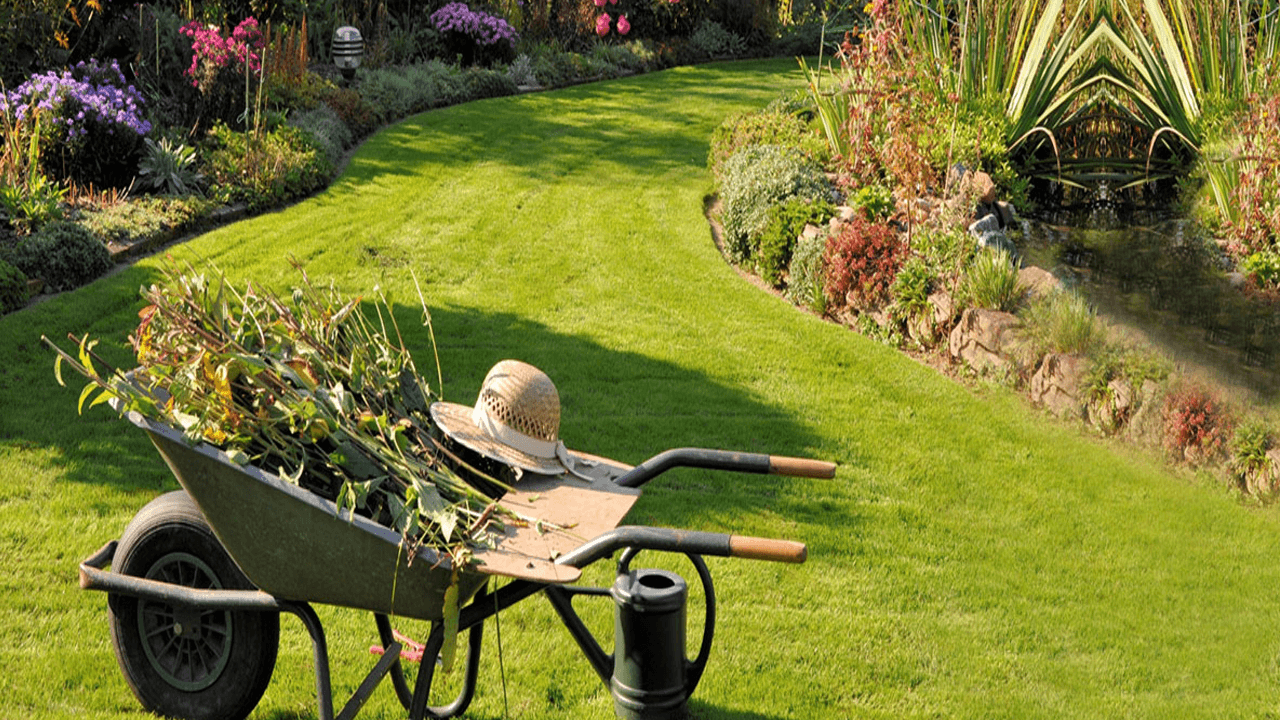 Bahçe Bakımı